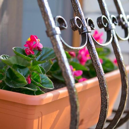 Forras Apartman エゲル エクステリア 写真